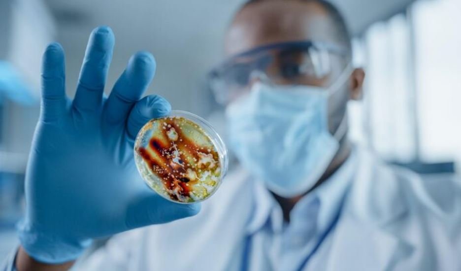 Salmonella Poisoning Is Spreading Across the UK — And Imported Eggs May Be to Blame