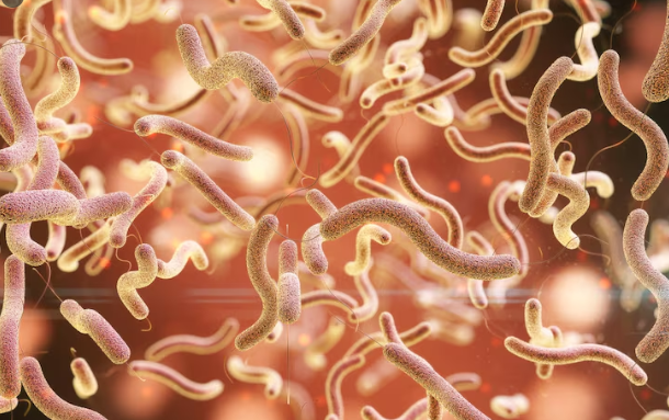Is the Cyclospora Outbreak Still Happening?