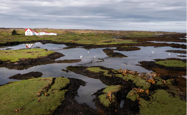 When Coastal Rains Wash Agricultural Waste Straight Into World-Class Surf Breaks