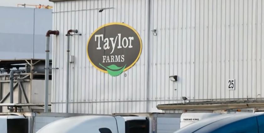 Taylor farms salmonella recall
