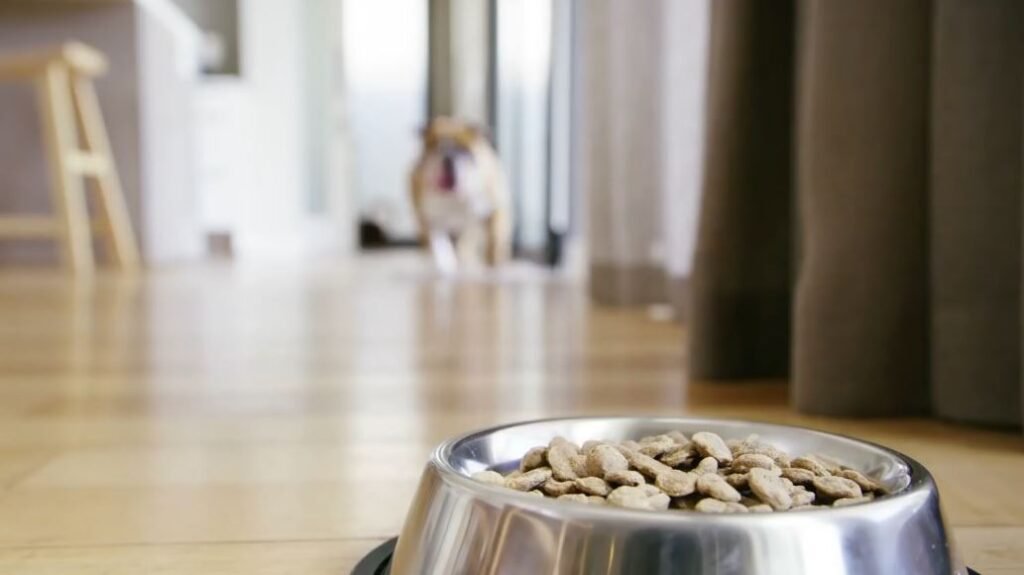 Dog food metal contamination recall