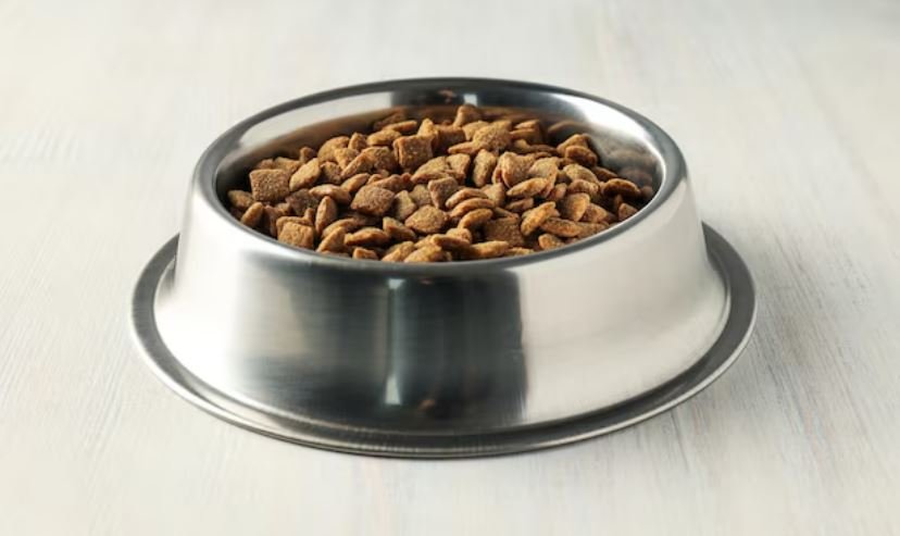 Dog food salmonella